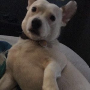 Meet your Posher, Vanessa